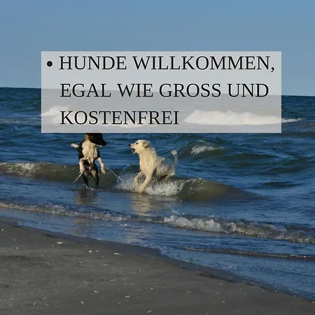 Haus Krabbe Ohne Kueche, Zentral Gelegen Zwischen Cuxhaven Und Bremerhaven, Unterstellmoeglichkeit Fuer Fahrraeder Und E-bikes, Hauseigener Parkplatz, Hunde Kostenfrei Willkommen * ヴレーメン