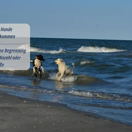 Haus Krabbe Fuer Kurzaufenthalt Und Geschaeftsreise, Zwischen Bremerhaven Und Cuxhaven 公寓 弗雷门